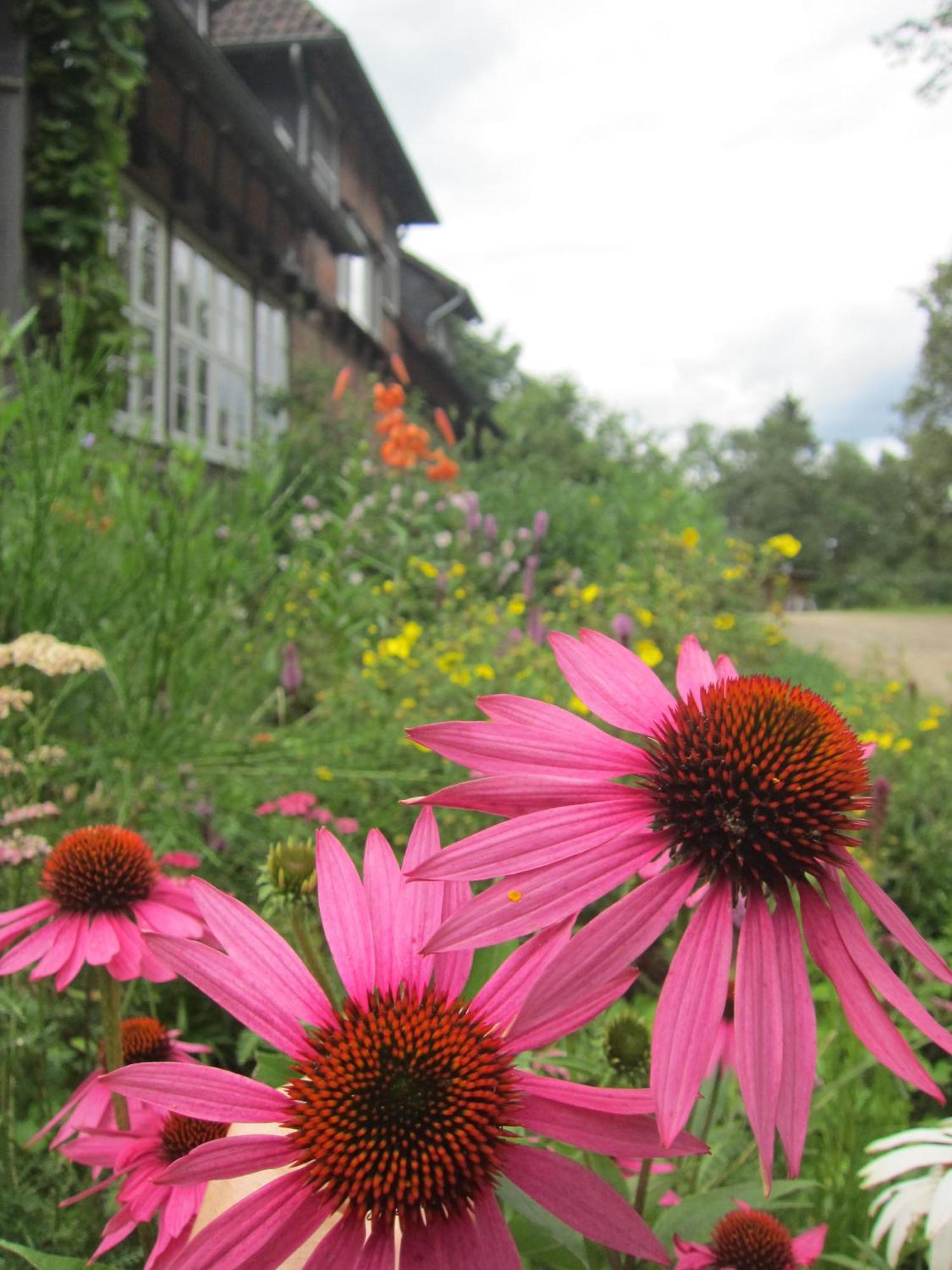 Haus Heidetal Bispingen Exterior foto