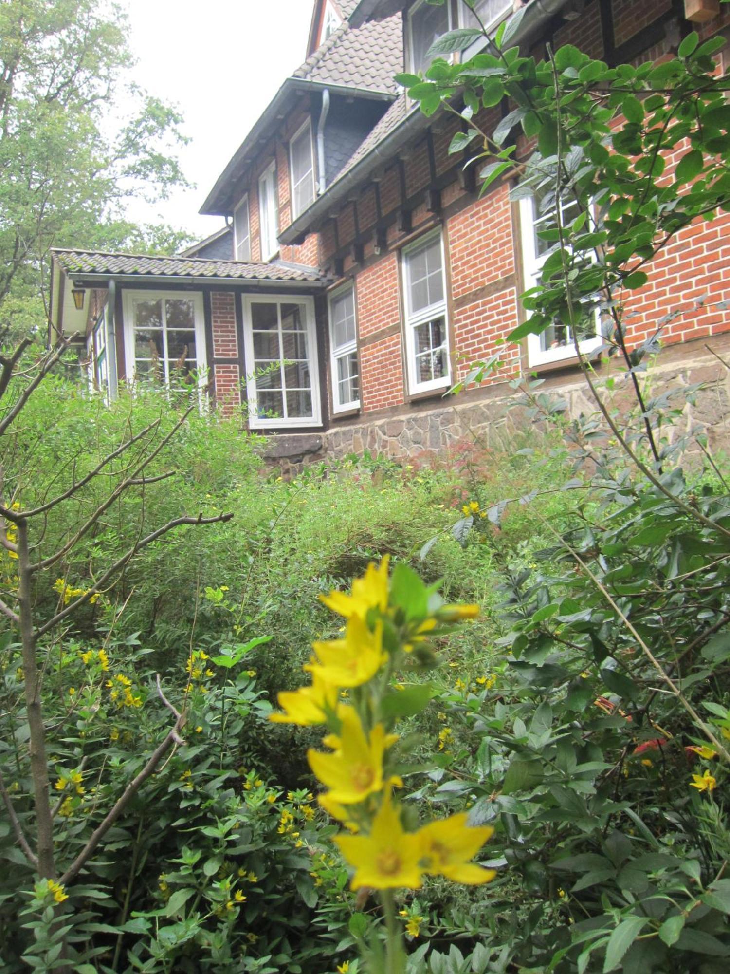 Haus Heidetal Bispingen Exterior foto